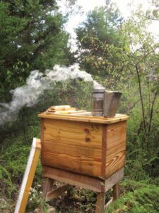 Beekeeping with Horizontal Hives for Less Stress